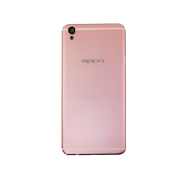 Kính Nắp Lưng Oppo R9 Plus