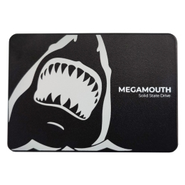 Ổ cứng SSD SSTC Megamouth 512GB Sata III
