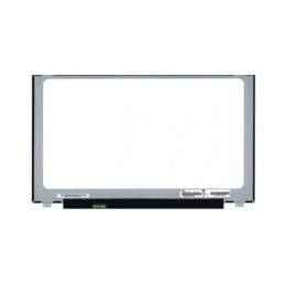 Màn hình Laptop HP ProBook 435 G7 13.3 inch LED Mỏng 40 pin ( 133LM40P 1920 x 1080 )